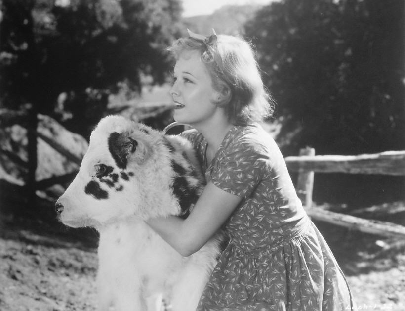 Classic Old Movie : Face In The Sky 1933